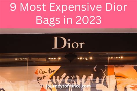 dior glass bag price|most expensive dior bag.